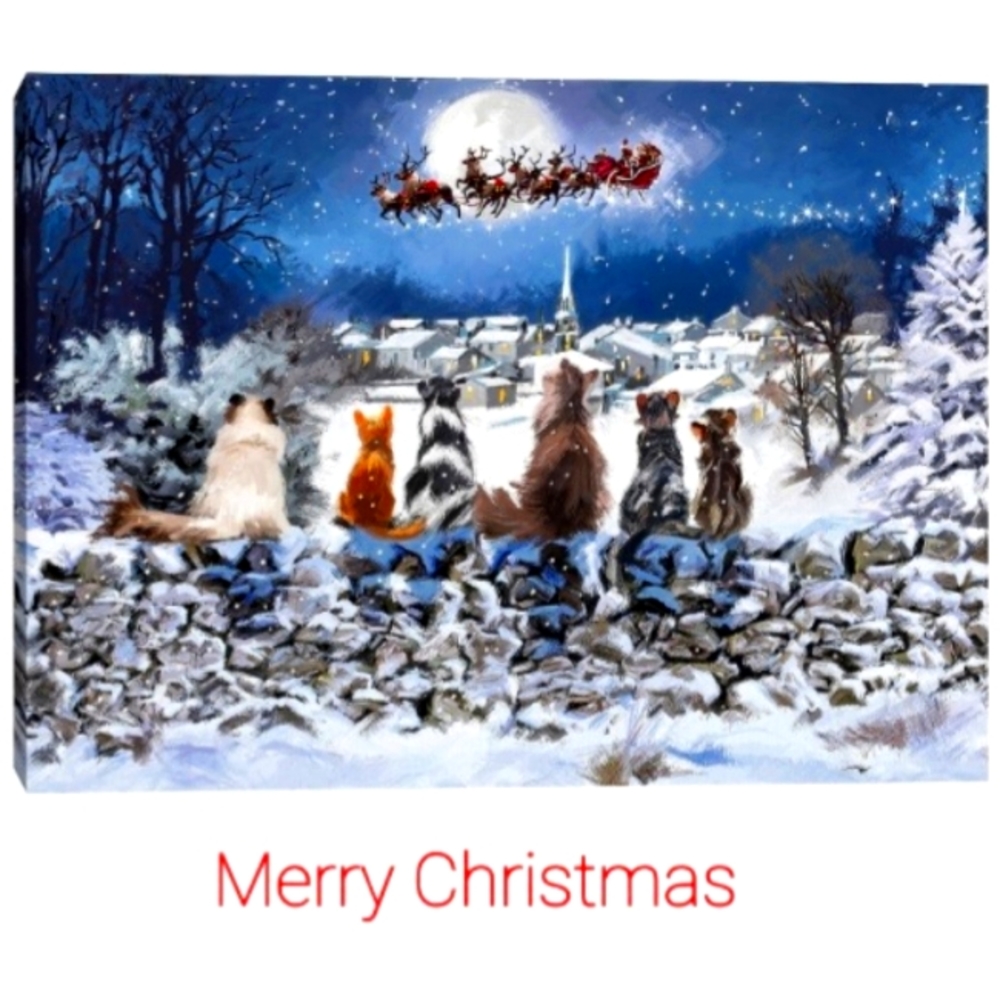 Merry Christmas